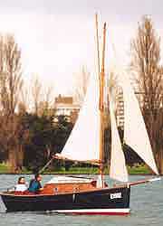 Selway Fisher's Evening Swan