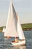 petite brise 12'4"