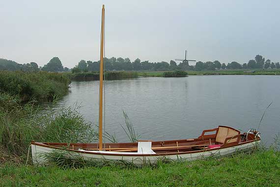 Acorn 15