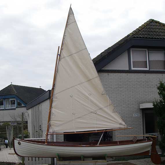 Acorn 15