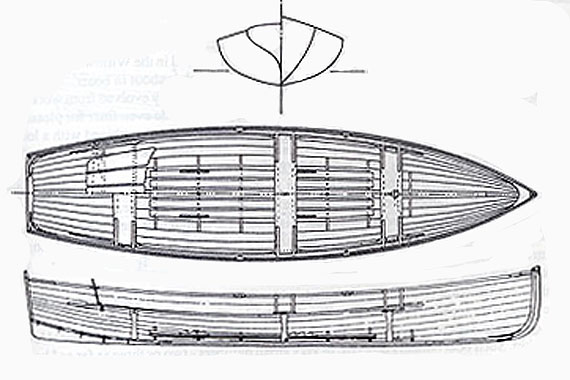 Acorn 15