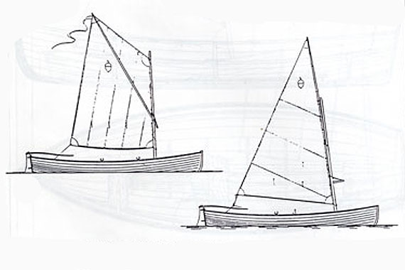 Acorn 15