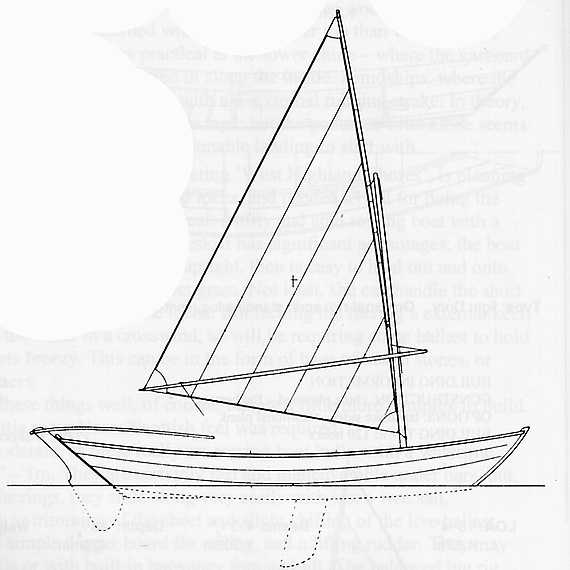 Amberjack