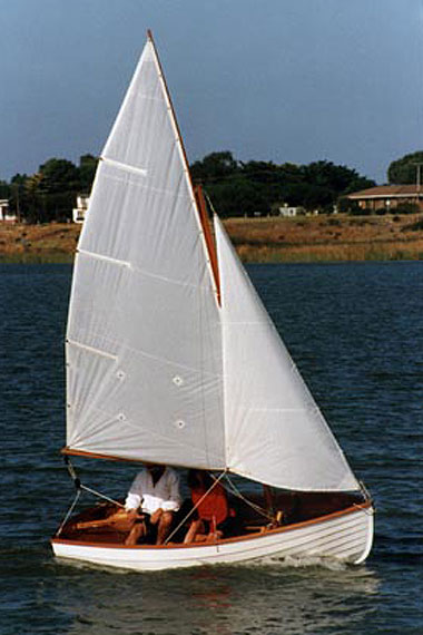 Shearwater