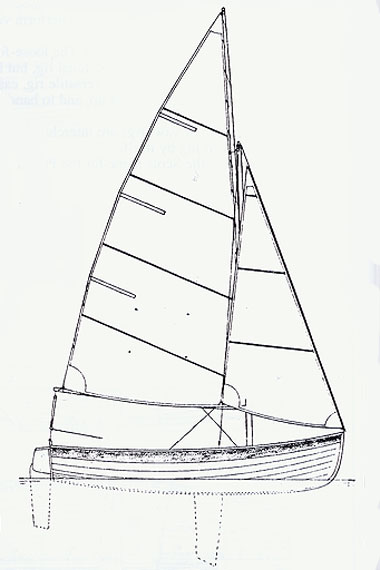 Shearwater