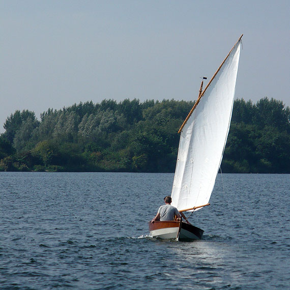 Whilly Tern