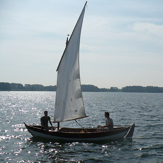 Whilly Tern
