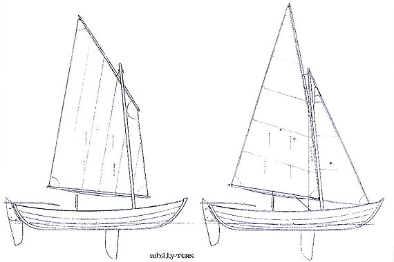 Whilly Tern