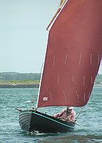 Ilur